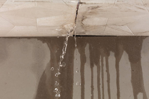 Professional Structural Drying technician working in Limerick, ME